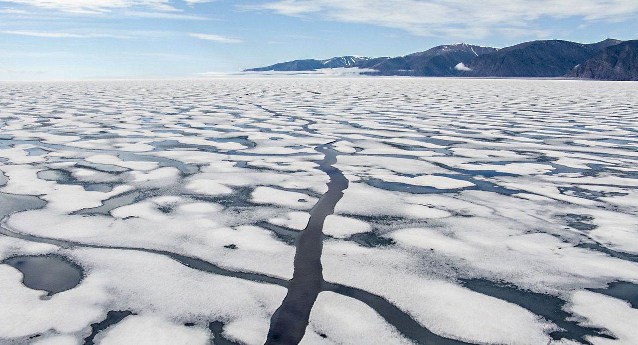 Earth: One Amazing Day : Foto