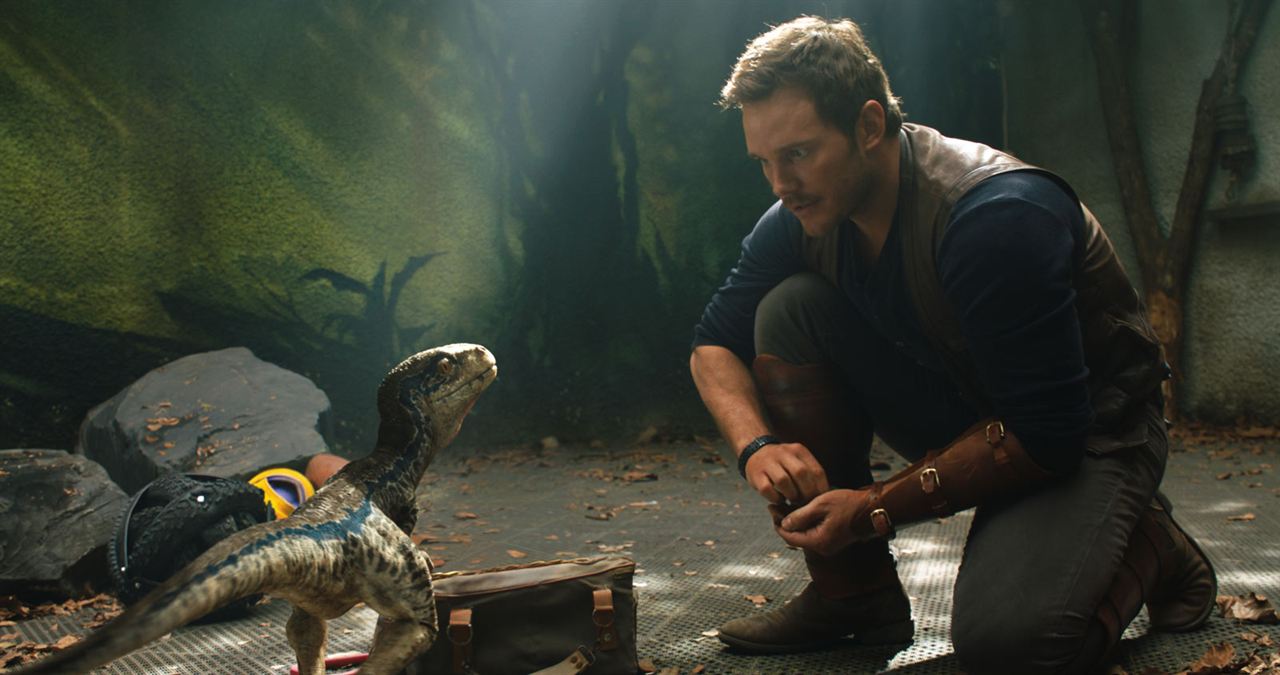Jurassic World: El reino caído : Foto Chris Pratt
