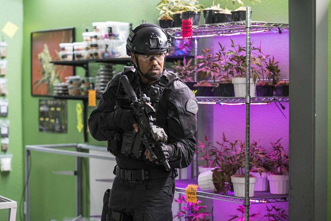 S.W.A.T. Los hombres de Harrelson : Foto Shemar Moore