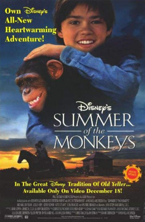 El verano de los monos : Cartel