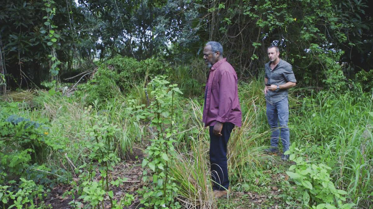 Hawai 5.0 : Foto Alex O´Loughlin, Frankie Faison, Alex O'Loughlin