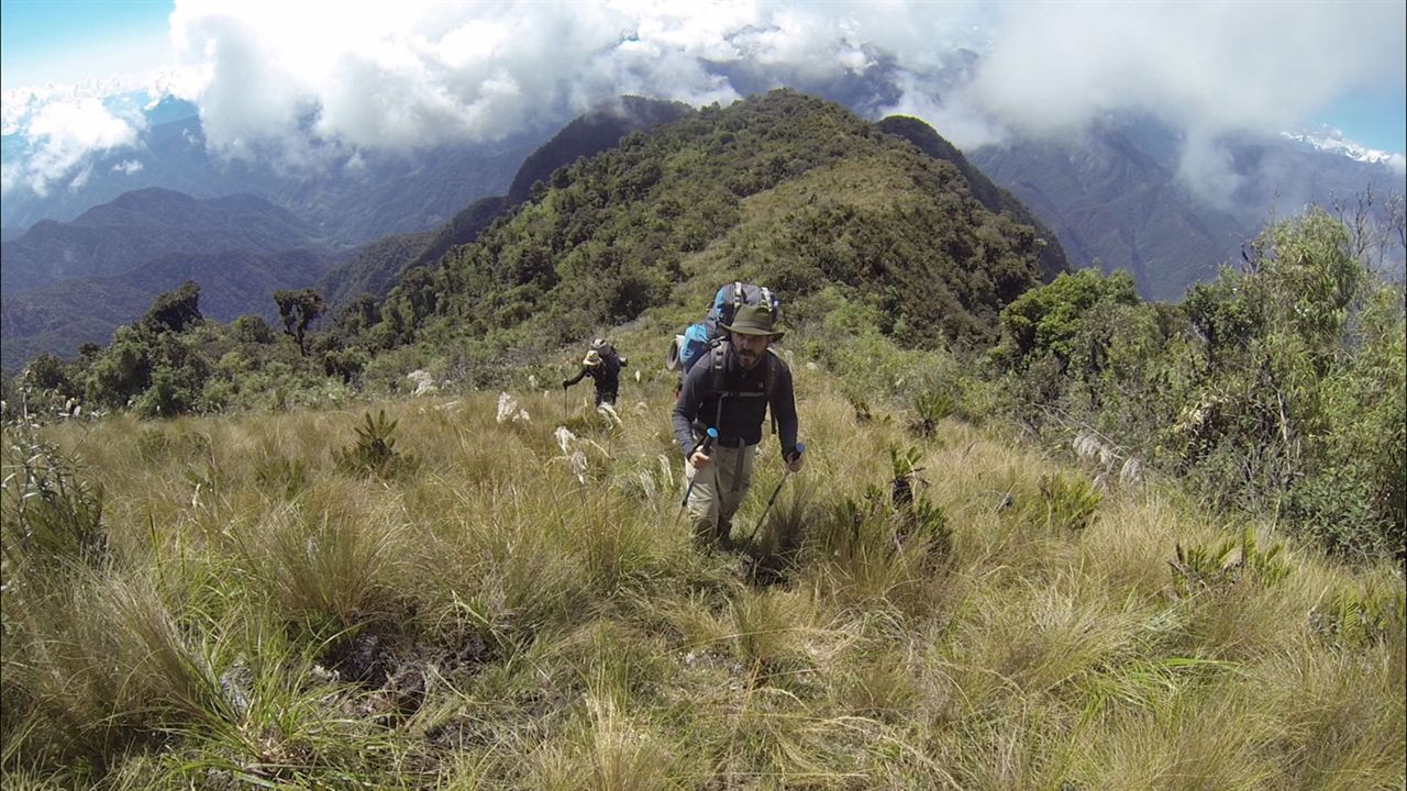 En busca de la Ciudad Perdida : Foto