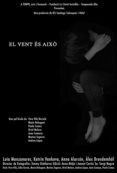 El vent és això : Cartel