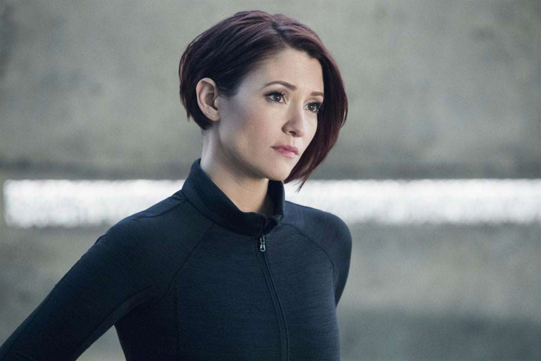 Foto De Chyler Leigh Foto Chyler Leigh 