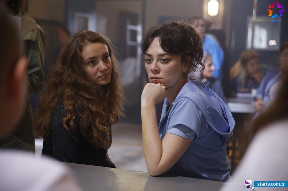 Avlu El patio Foto 205 sobre un total de 260