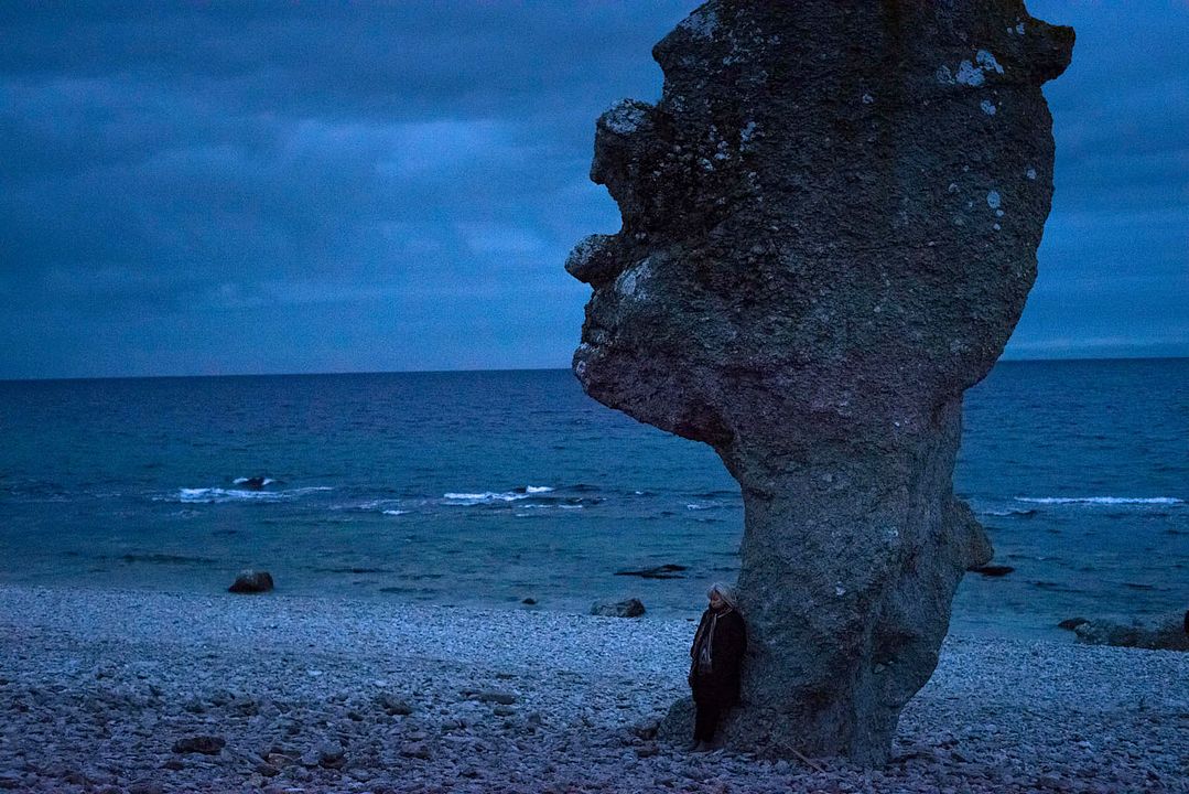 Entendiendo a Ingmar Bergman : Foto