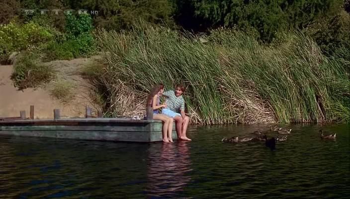 Las desventuras de Beaver : Foto