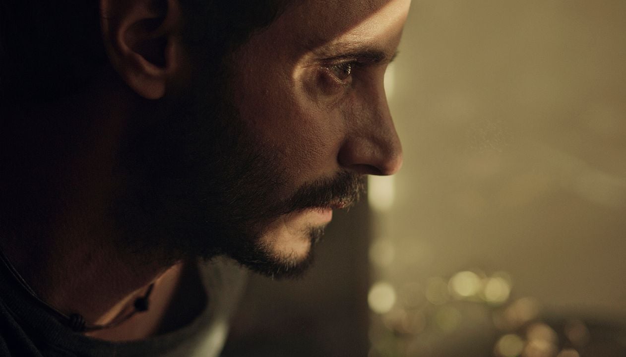 Animales sin collar : Foto