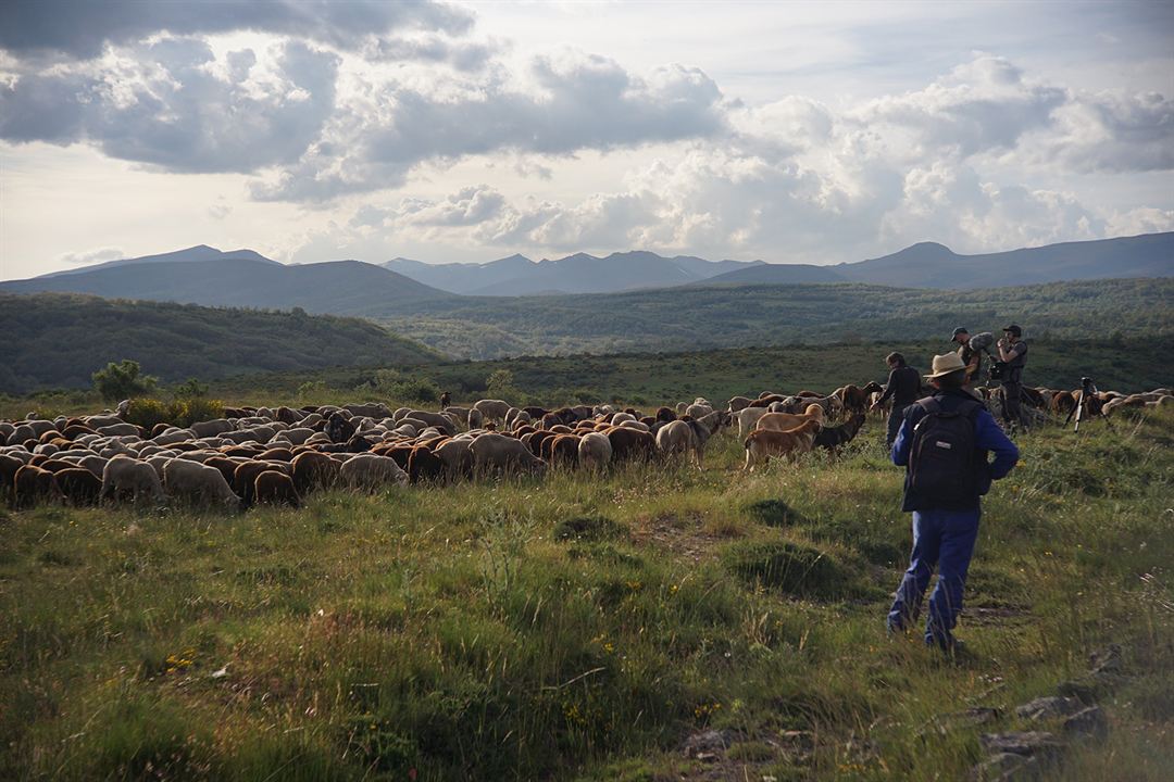 Barbacana, la huella del lobo : Foto