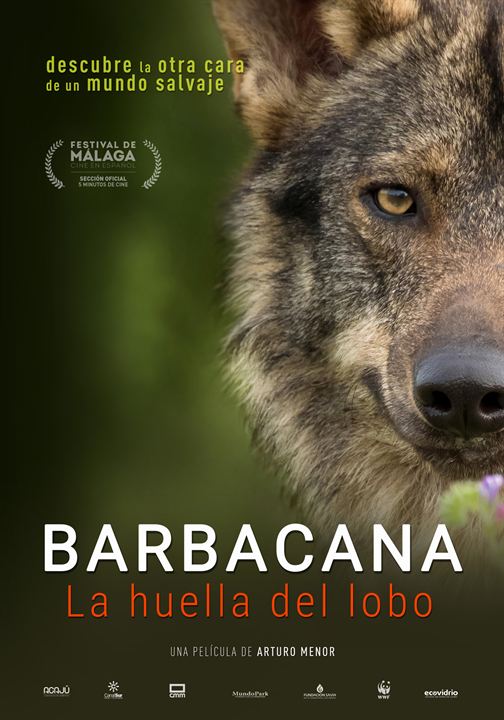 Barbacana, la huella del lobo : Cartel