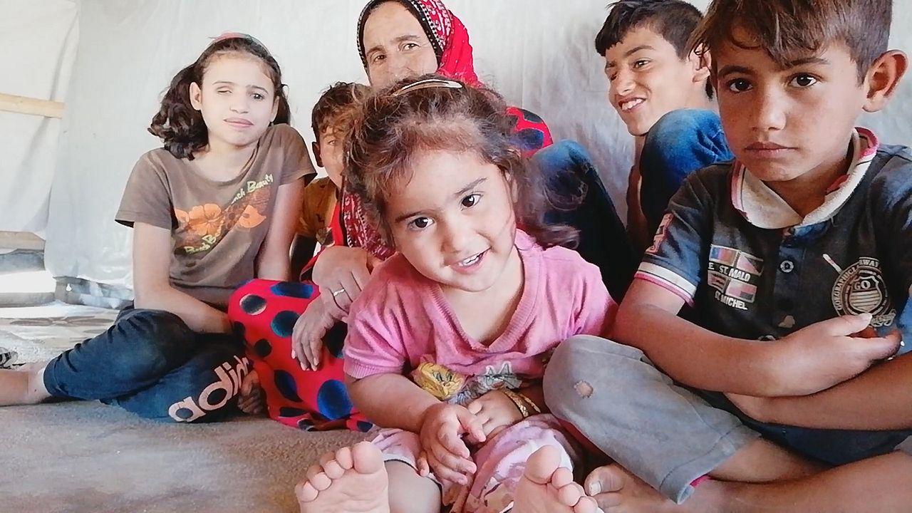 Lucha de gigantes : Foto