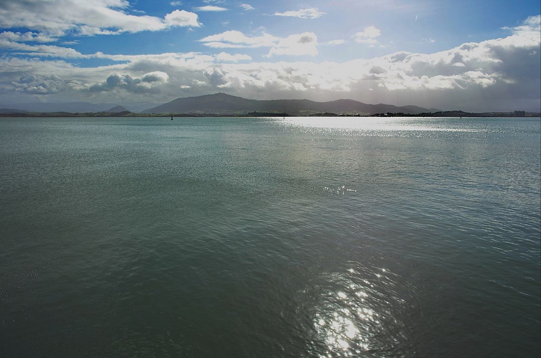 Renzo Piano: Un arquitecto para Santander : Foto