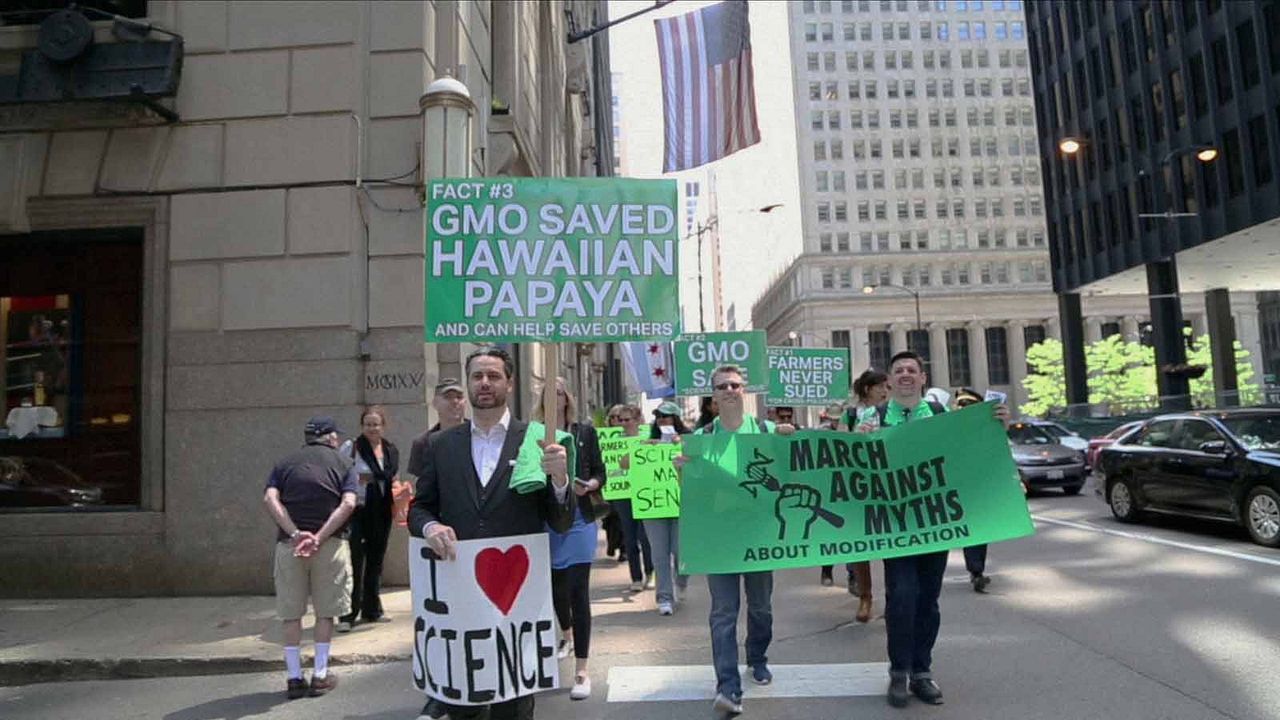 Food Evolution : Foto