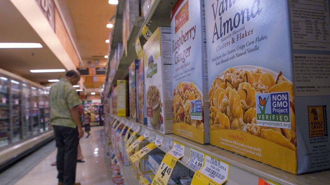 Food Evolution : Foto