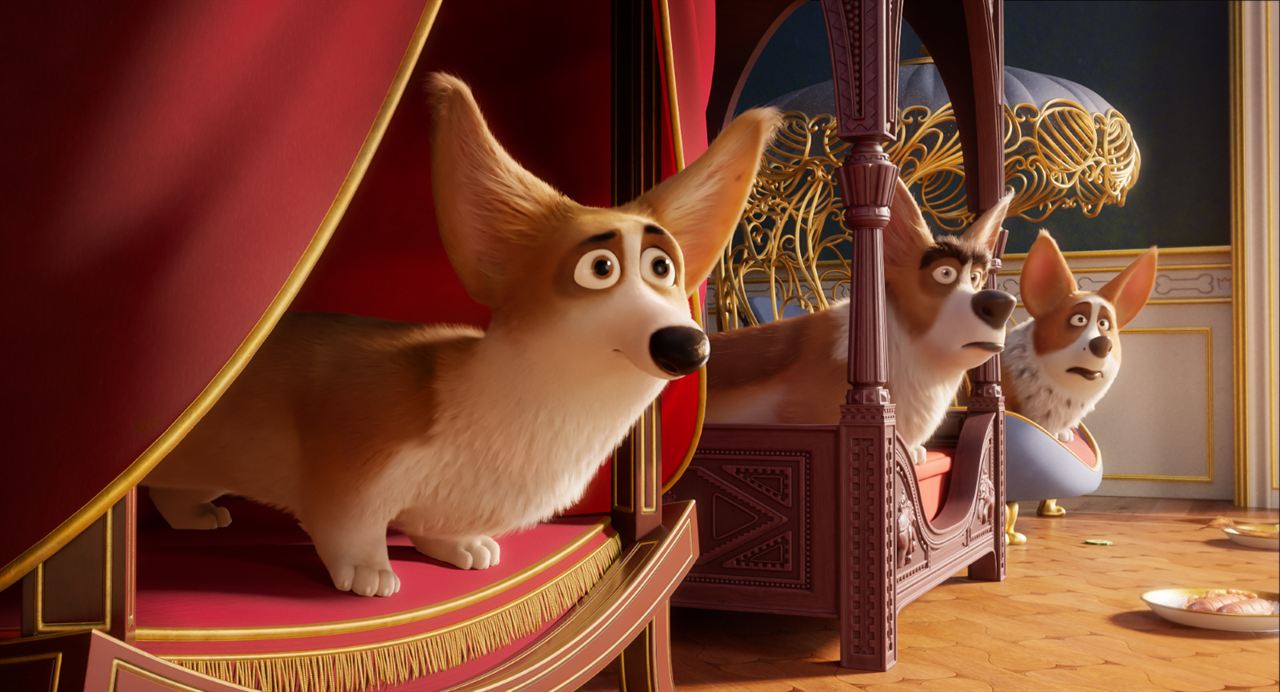 Corgi, las mascotas de la reina : Foto