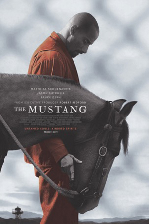 The Mustang : Cartel