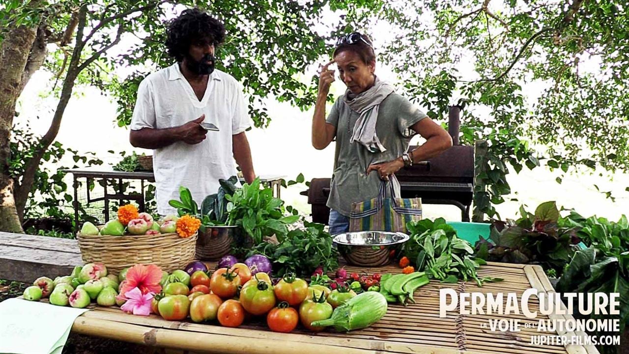 Permaculture, la voie de l'Autonomie : Foto