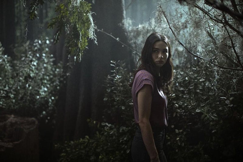 Swamp Thing (La cosa del pantano) : Foto Crystal Reed