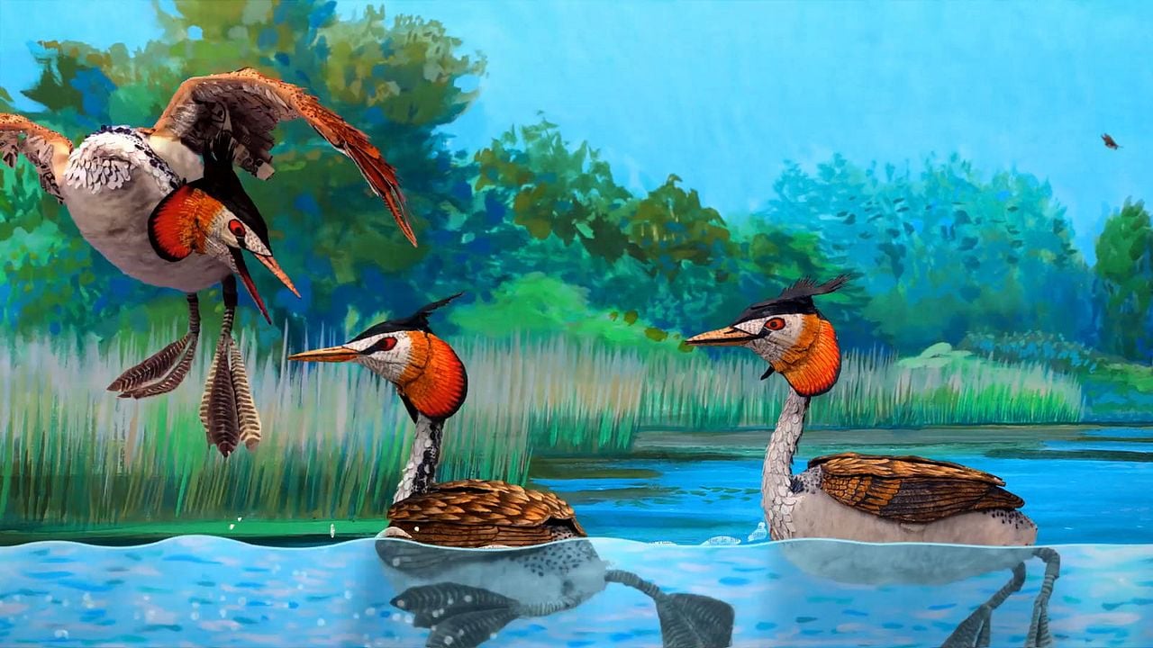 Bonjour le Monde! : Foto