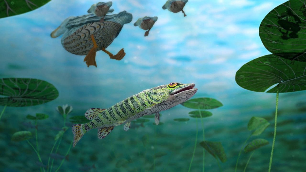 Bonjour le Monde! : Foto