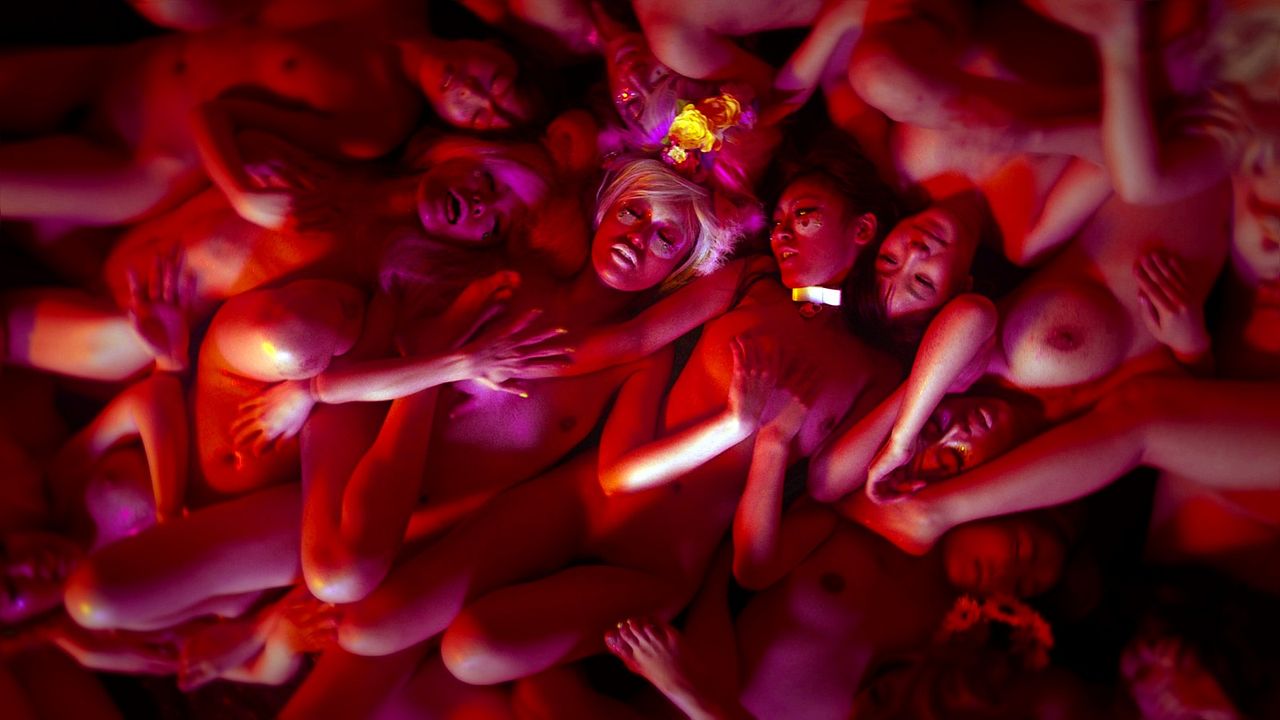 She's Just A Shadow : Foto