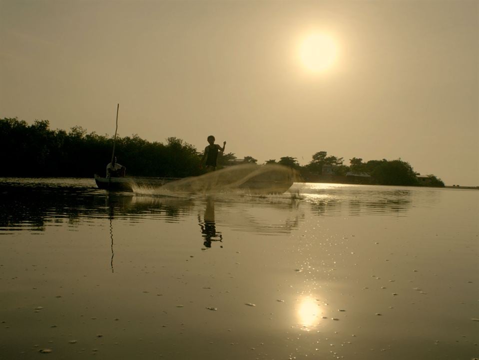 Semillas de alegría : Foto