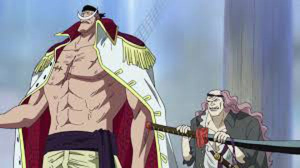 One Piece : Foto