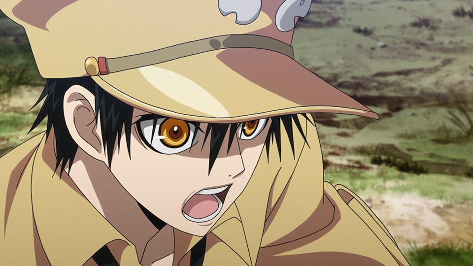 Ultramarine Magmell : Foto