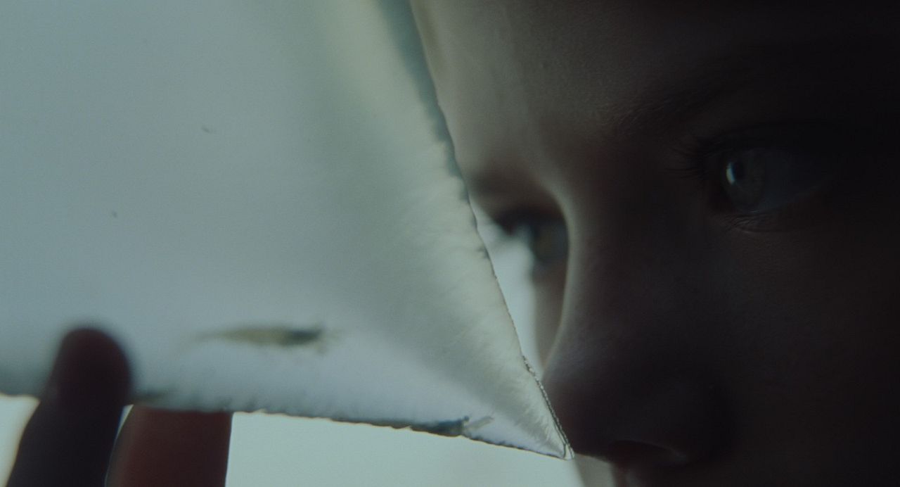 La cabaña siniestra : Foto