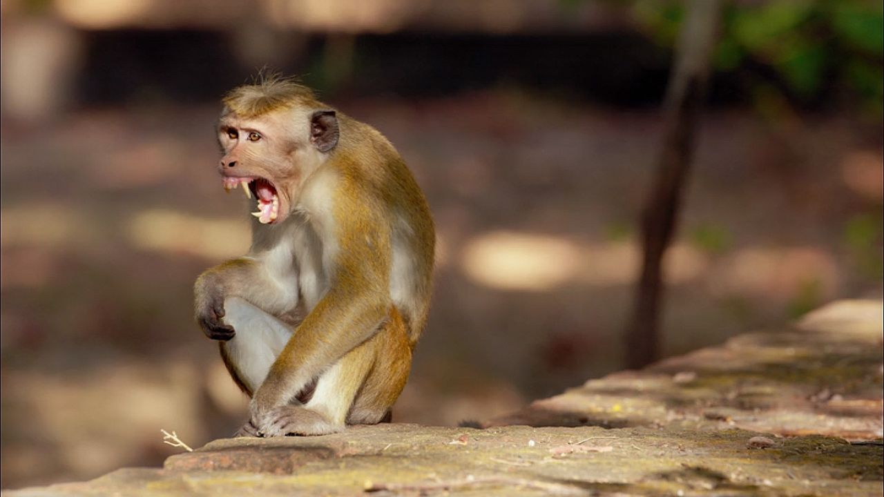 Crecer en la naturaleza : Foto