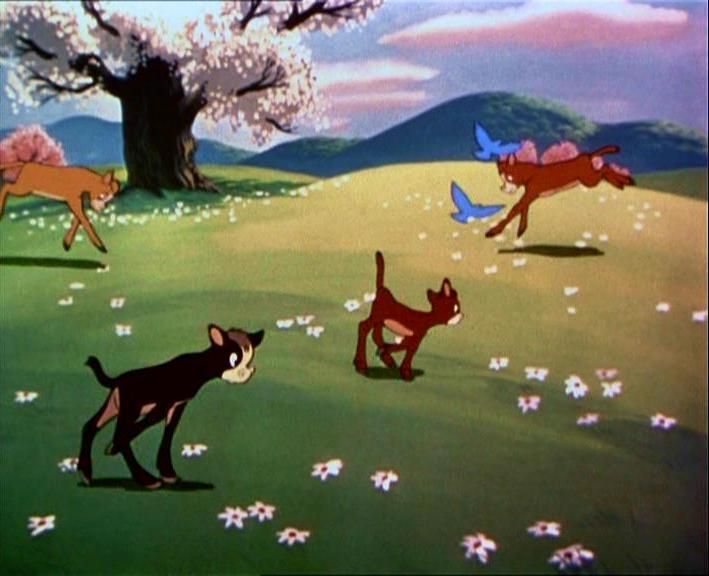 Las aventuras de Bongo, Mickey y las judías mágicas : Foto