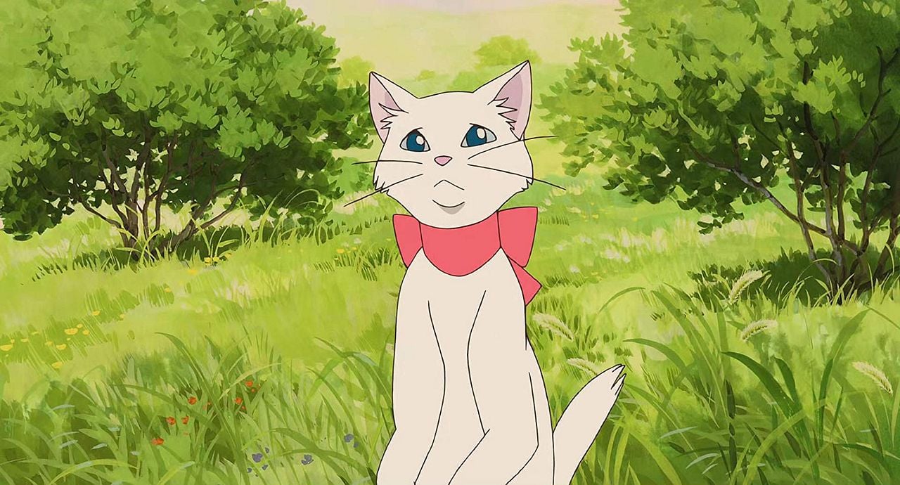 Neko no ongaeshi : Foto