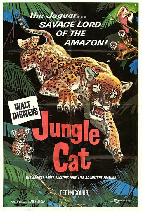 Jungle Cat : Cartel