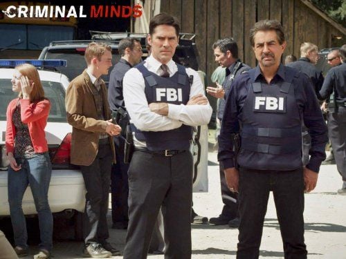 Mentes criminales : Cartel