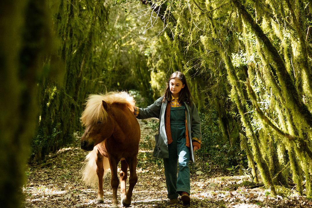 Mi amigo Pony : Foto