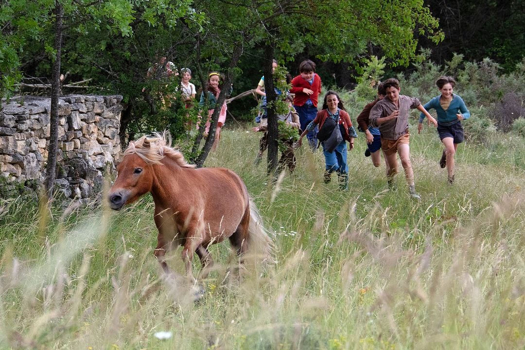 Mi amigo Pony : Foto
