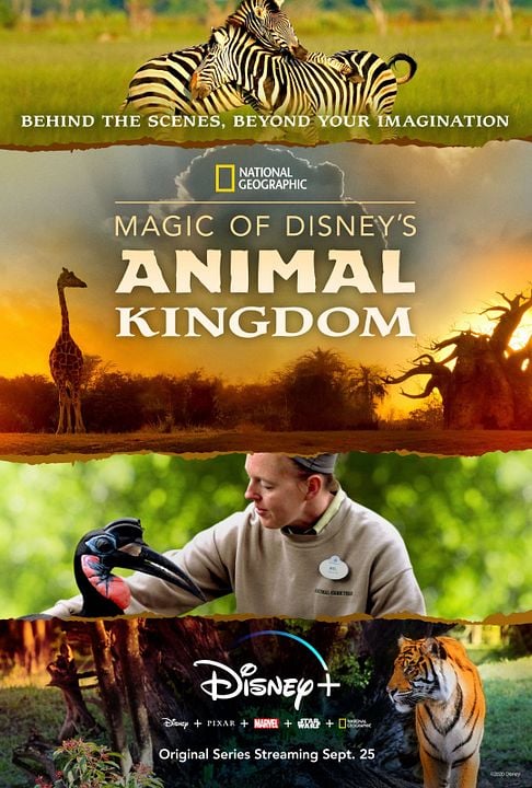 La magia de Animal Kingdom de Disney : Cartel