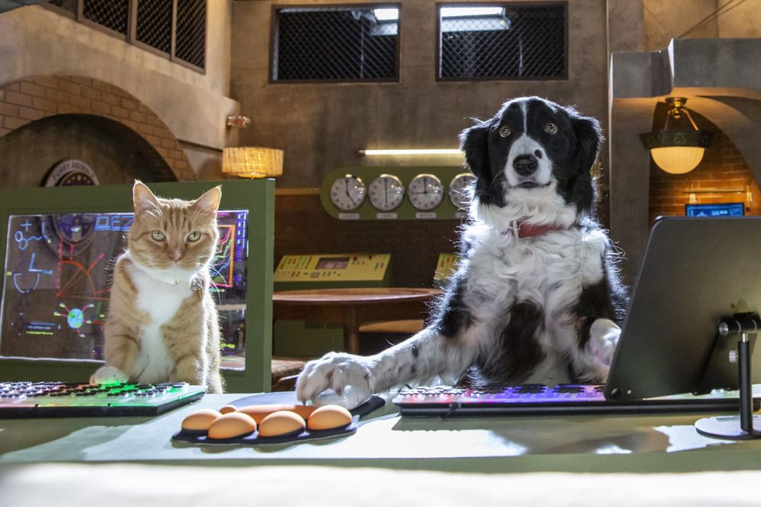 Como perros y gatos: La patrulla unida : Foto