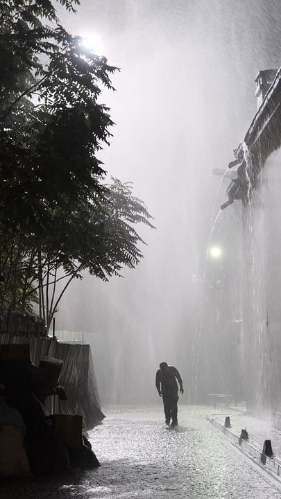 Vidas de papel : Foto