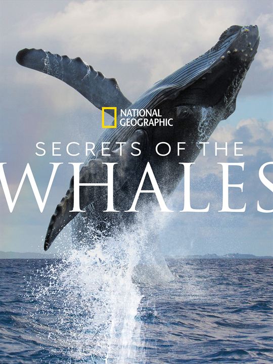Los secretos de las ballenas : Cartel
