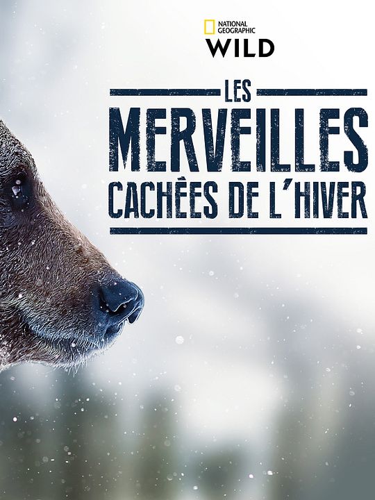 Winter's Hidden Wonders : Cartel