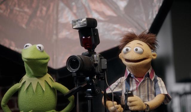 Más Muppets que nunca : Foto