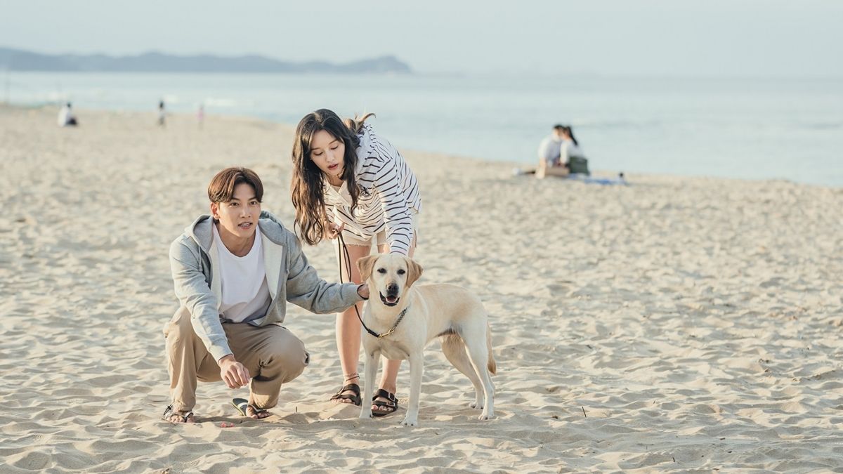 Amor en la ciudad : Foto