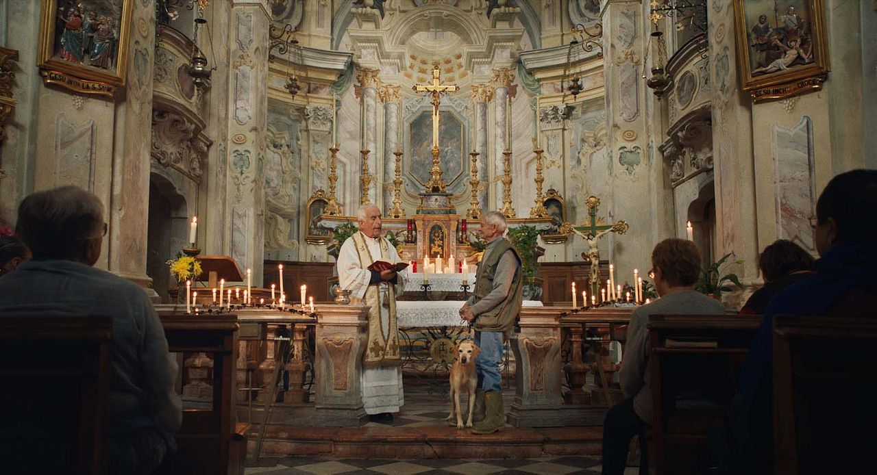 Cazadores de trufas : Foto