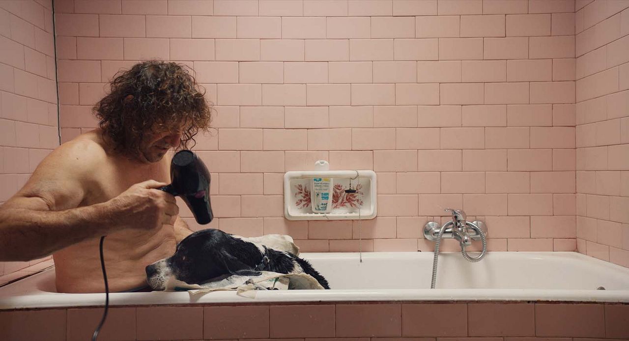 Cazadores de trufas : Foto