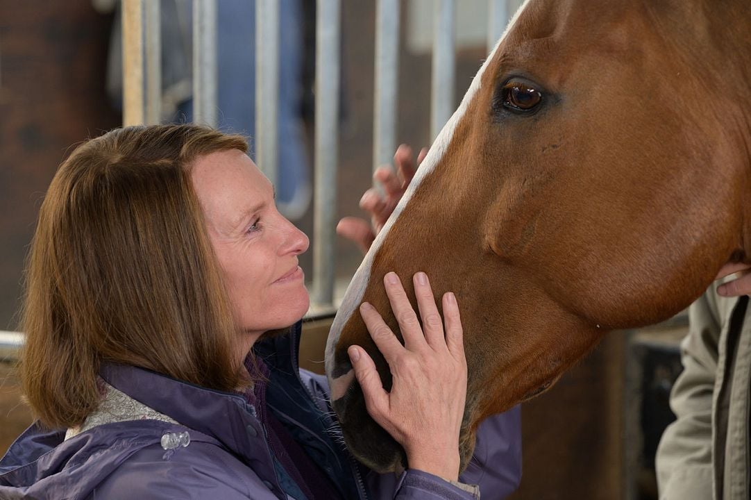 Caballo soñador : Foto Toni Collette