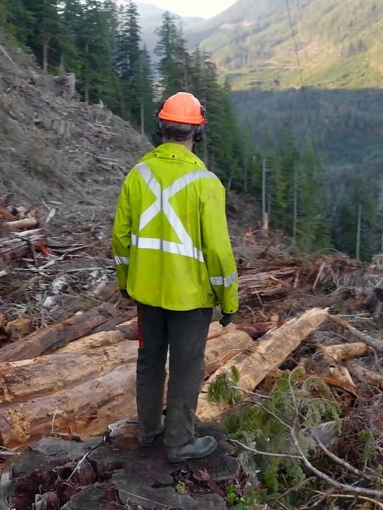 ¡Tronco va! : Cartel
