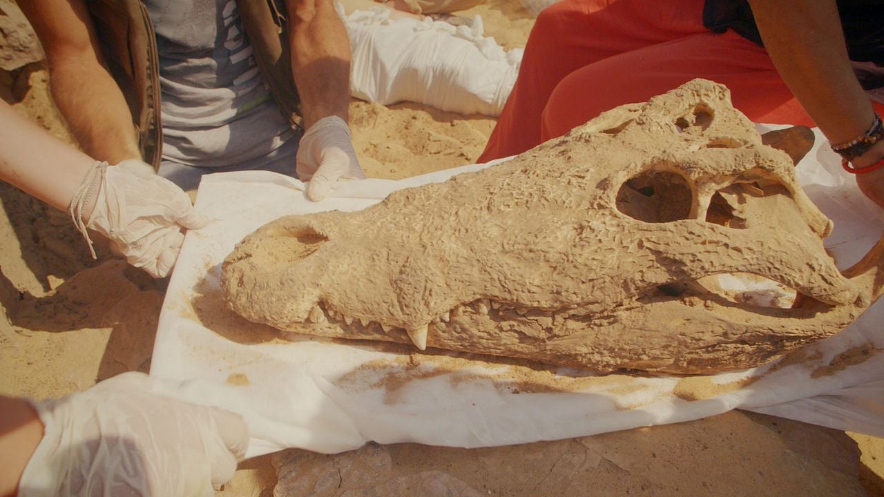 Tesoros perdidos de Egipto : Foto