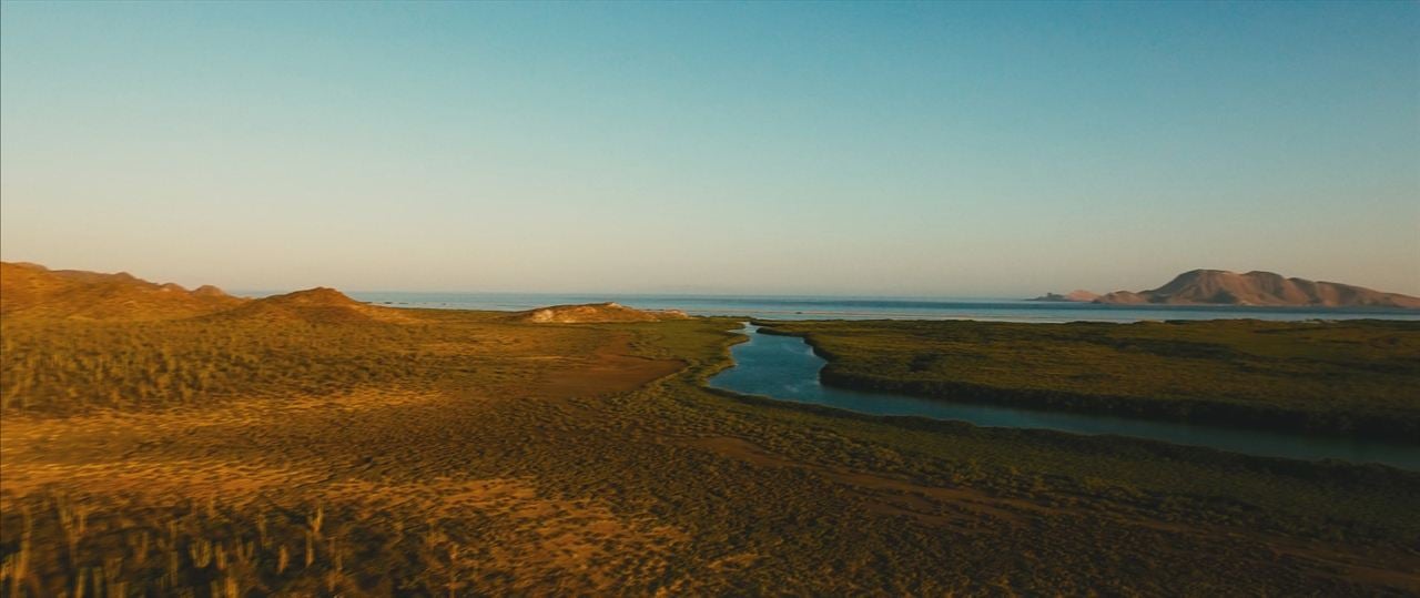 Las maravillas del mar : Foto