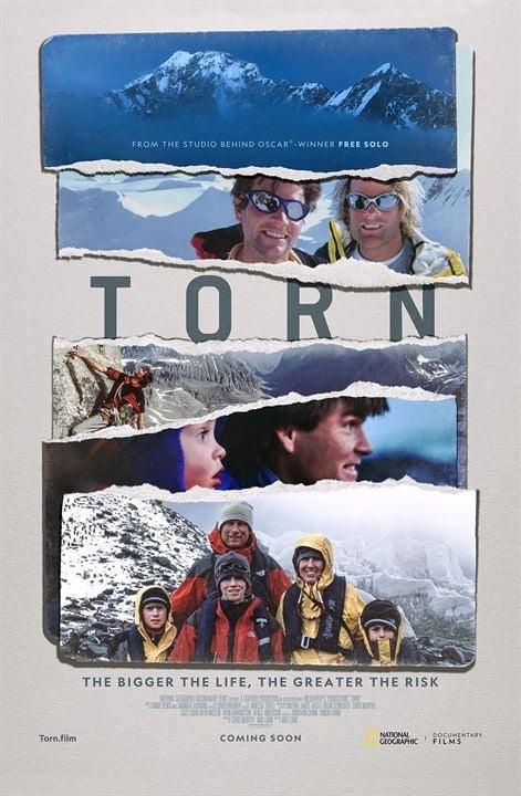 Torn : Cartel